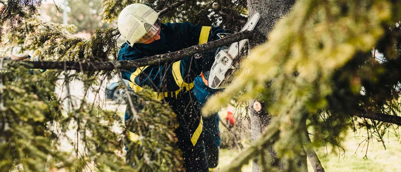 arborist Lund