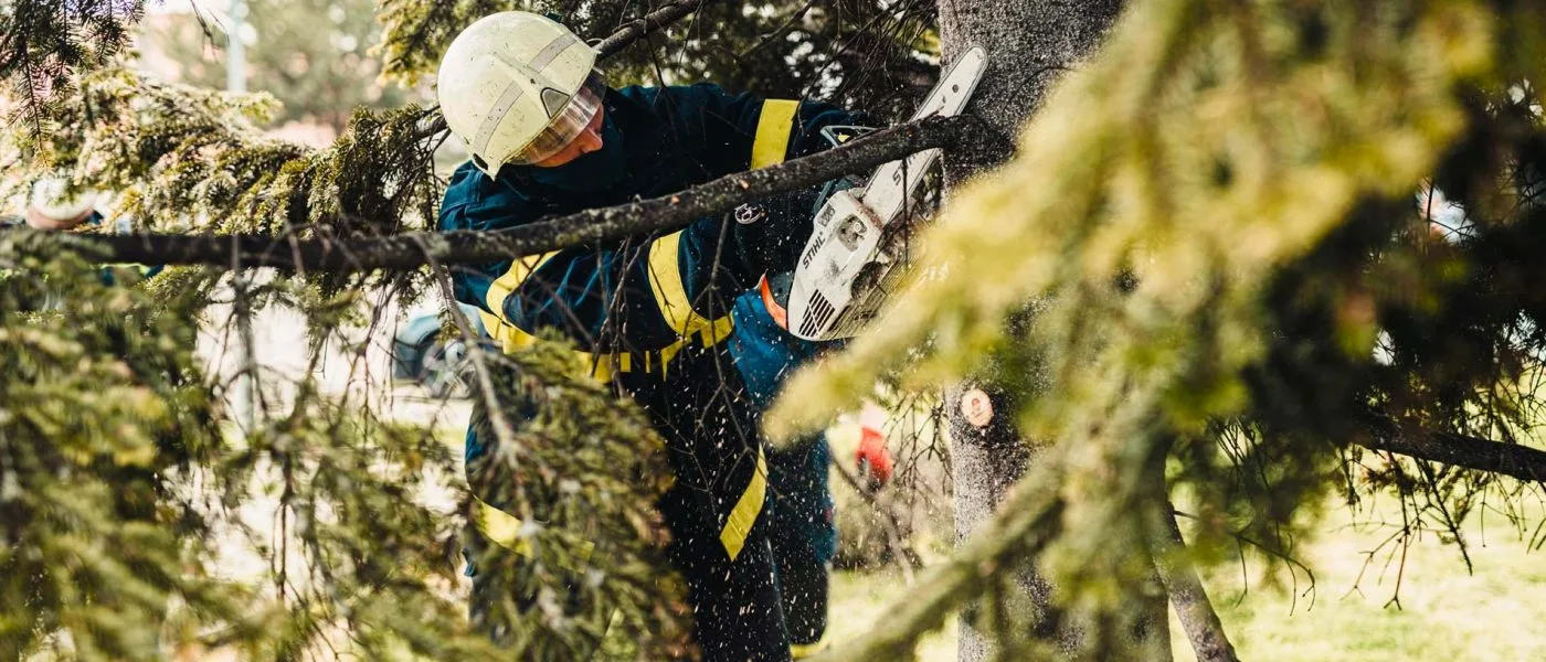 arborist Malmö