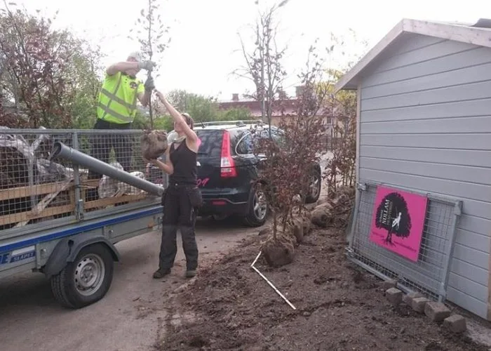 Plantering